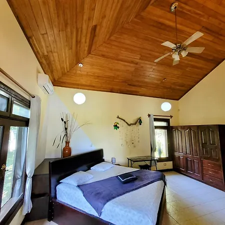 Villa Martina Palmgarden Samara Room photo